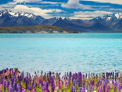 http://www.anrancoach.co.nz/aboutus/