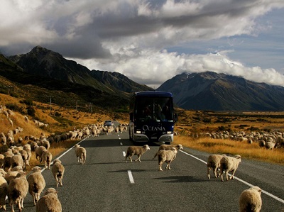 http://www.anrancoach.co.nz/ourcoaches/